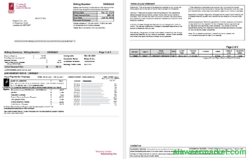 Canada Ontario London Hydro business utility bill Word and PDF template